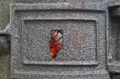 Damper — Damper Repair in Madison, Wisconsin