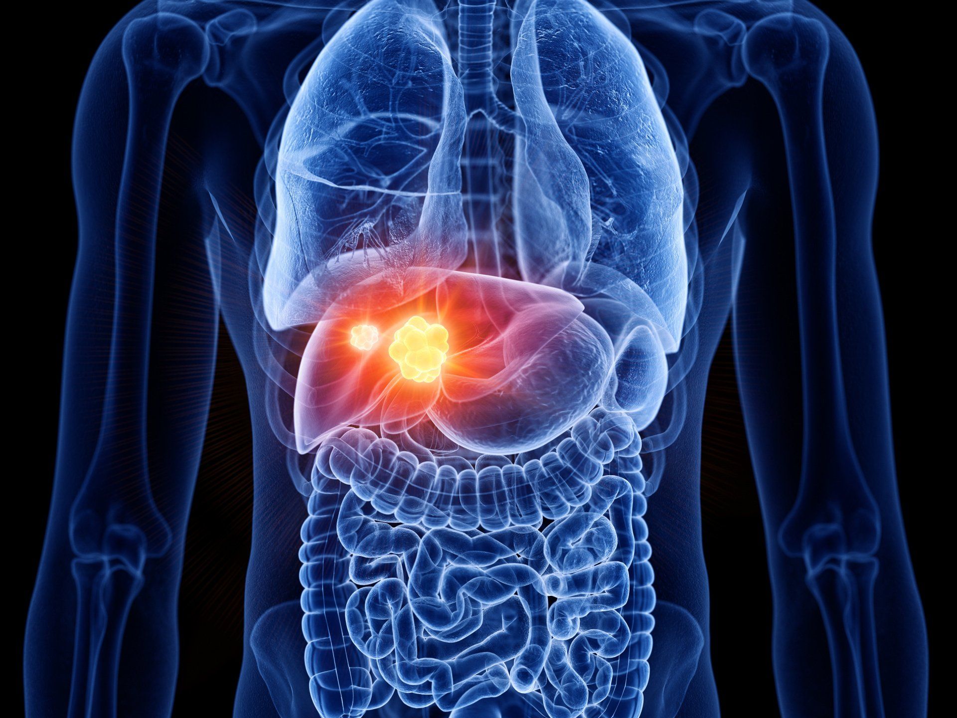 Adrenal Reset Program