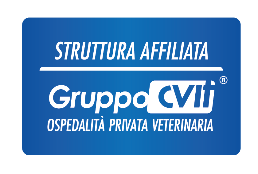 gruppo affiliato cvit