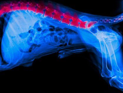visita neurologica