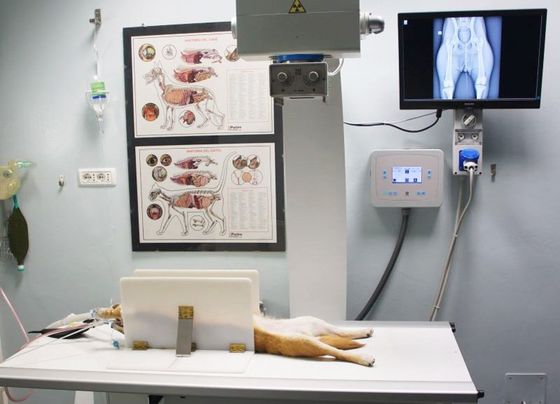radiologia digitale