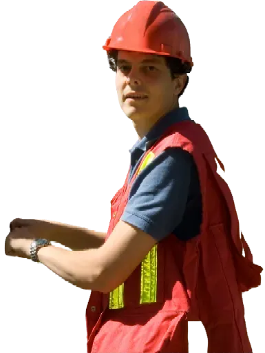 Arborist reporter