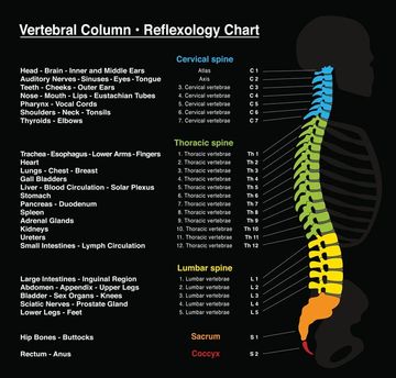 Chiropractic - Chiropractic Treatment in Bonita Springs, FL
