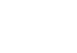 icona fiore bianco