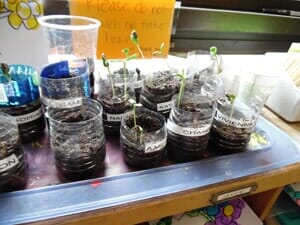 Earth Day Science — Children's Center in Lakewood,, CA Earth Day Science — Children's Center in Lakewood,, CA