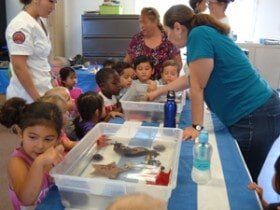 Blue Sumarine — Children's Center in Lakewood,, CA Blue Sumarine — Children's Center in Lakewood,, CA