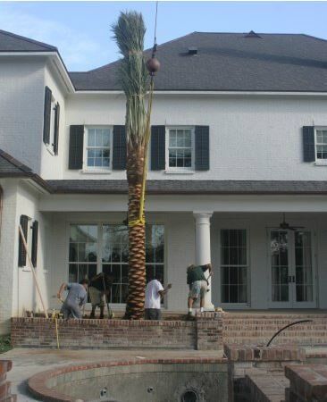Landscaping Lafayette — Workers doing Landscaping in Lafayette, LA Landscaping Lafayette — Workers doing Landscaping in Lafayette, LA