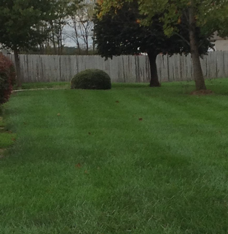 Core Aeration — Good Lawn in Wayne, IN Core Aeration — Good Lawn in Wayne, IN