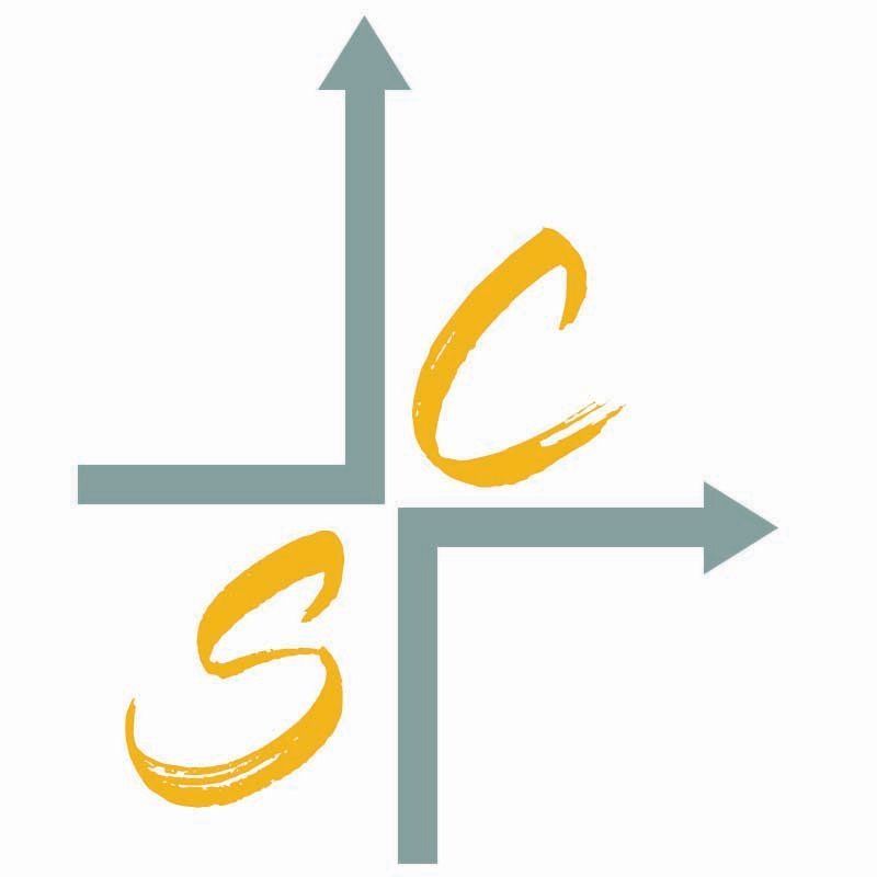 SATCAP SURVEYS LTD logo