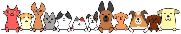 Cute Pets aligned vectorized — Tempe Veterinary Hospital in Tempe AZ