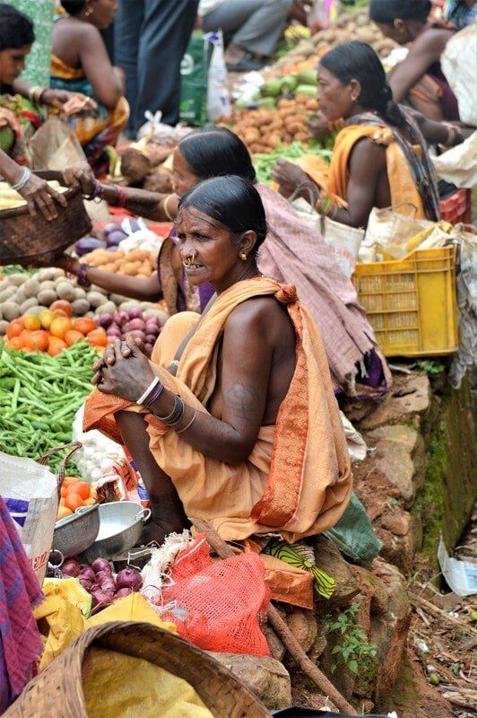 web_viv-s-india_56e82c4fd5