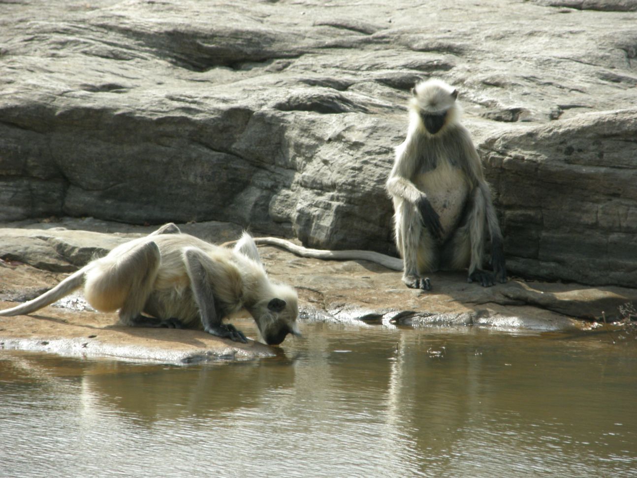 Viv's India - TRAVEL AGENTS IN BURRILL LAKE
