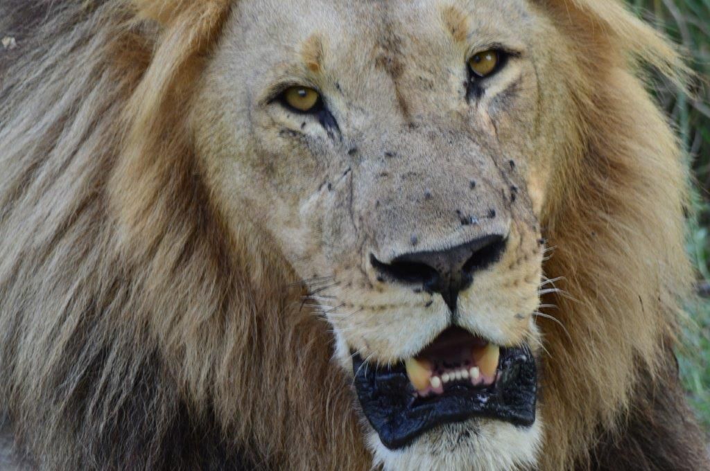 Botswana 2014 (442)