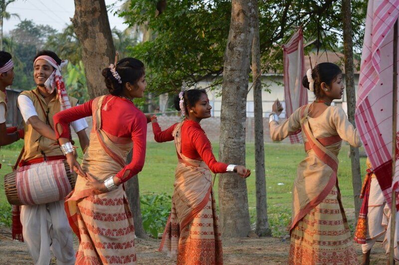 web_viv-s-india_da069559be