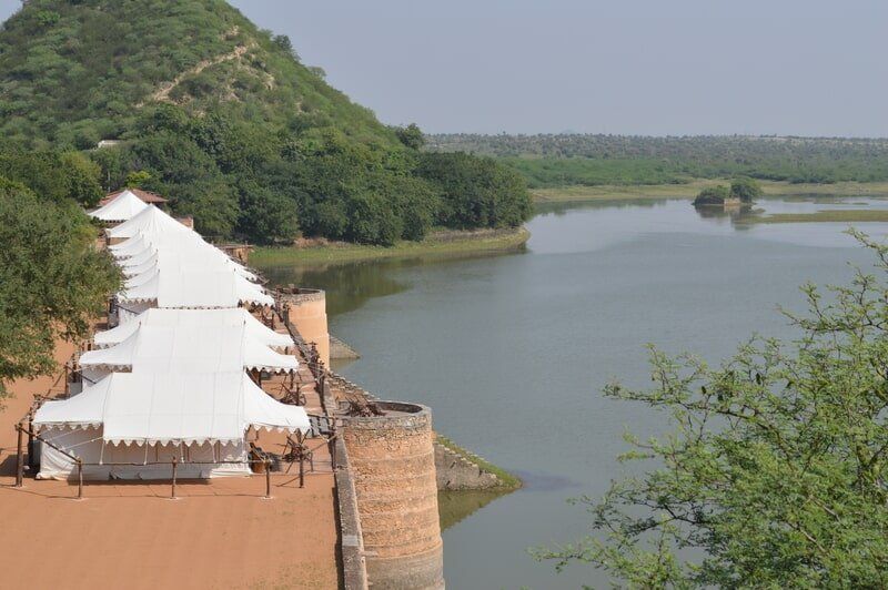 web_viv-s-india_e9d0dd7d41