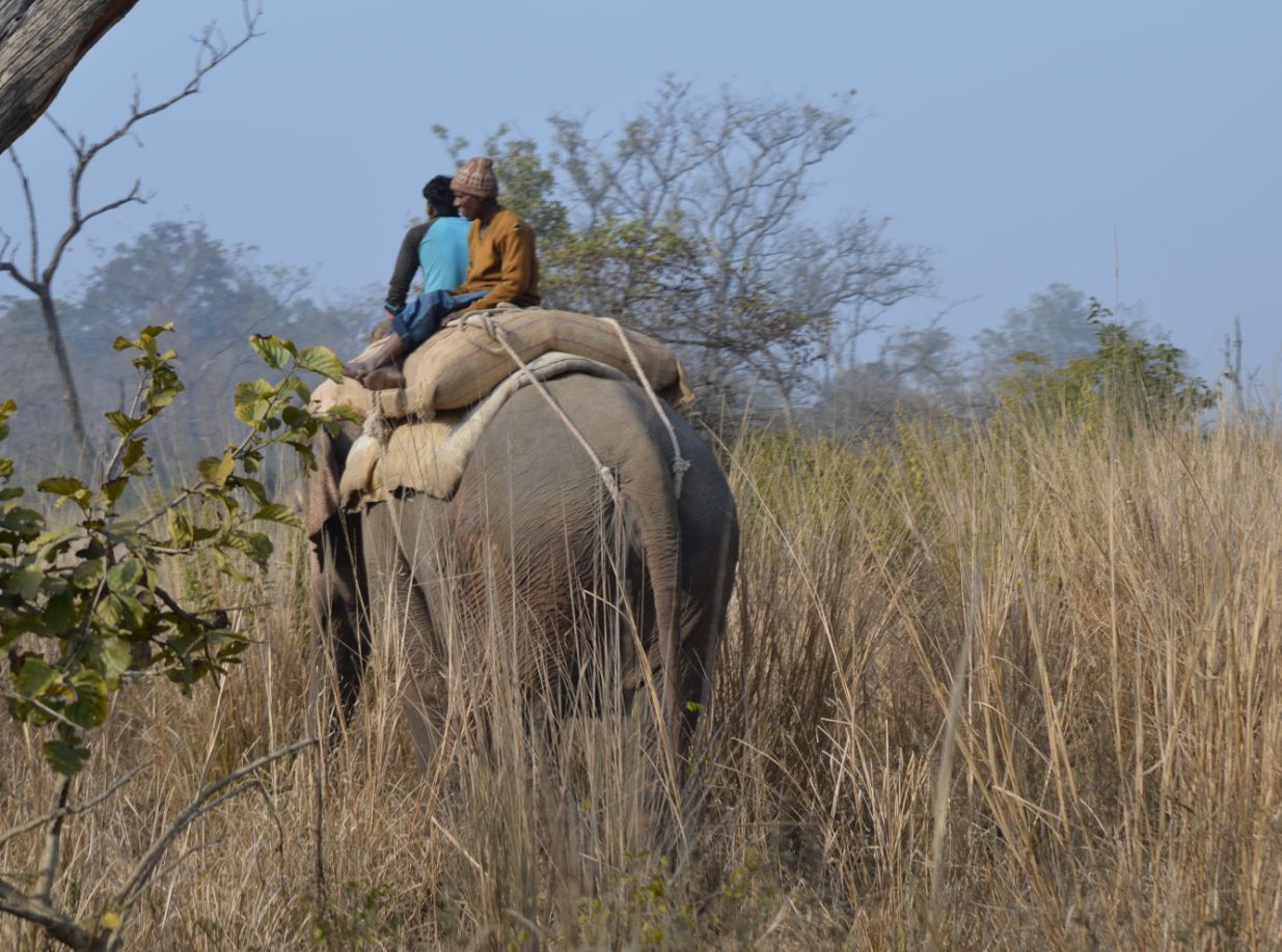 Corbett NP- mahout