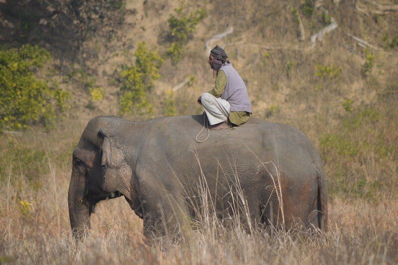 web_viv-s-india_5a9c75207a