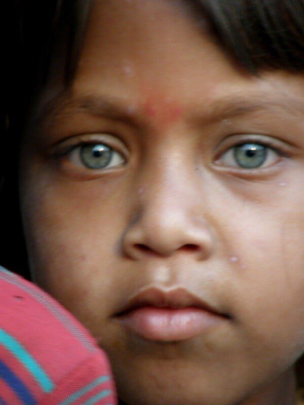 web_viv-s-india_8afd07e749