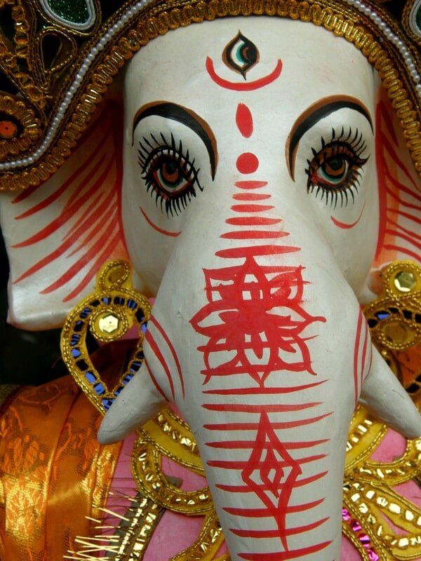 web_viv-s-india_b704798b47