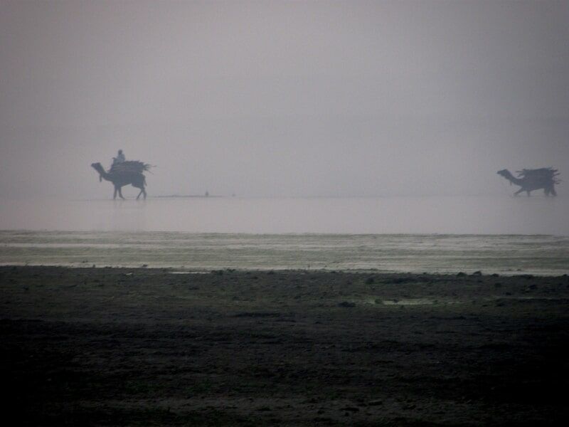 web_viv-s-india_c417532dc4