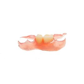 Same Day Denture Repair — Two Teeth Flexible Partial in Pinellas Park, FL