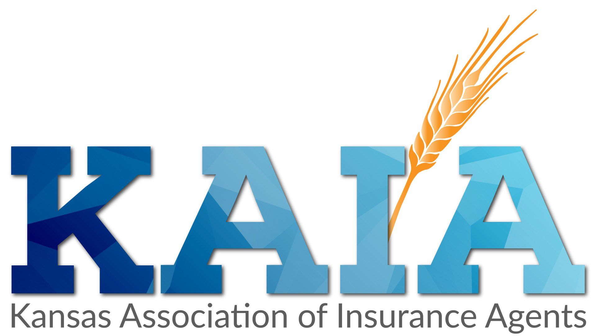 Kansas Association of Professional Insurance Agents