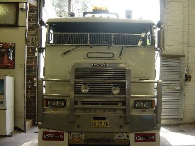Automotive Stone guards