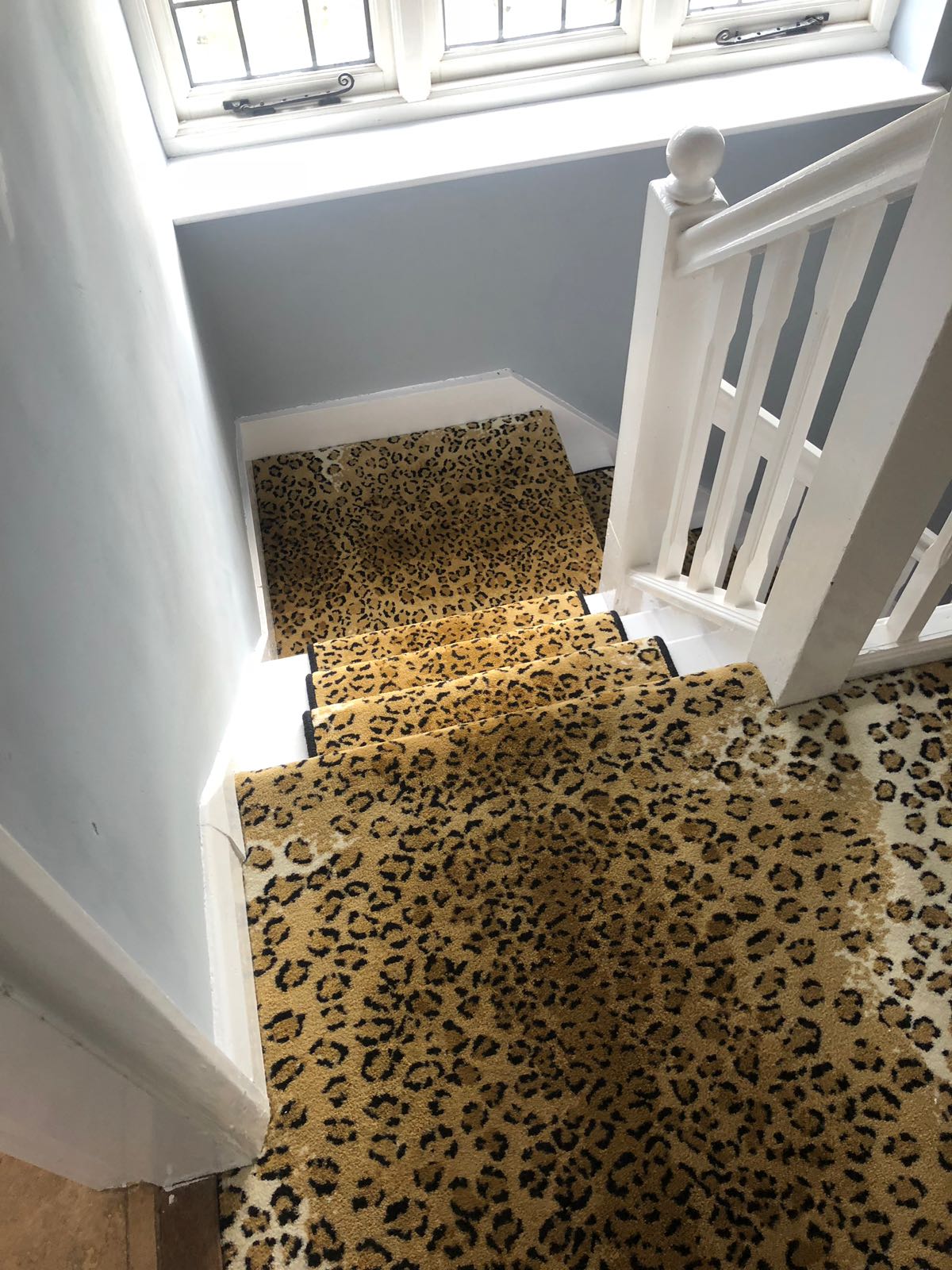 Skins 2 Leopard