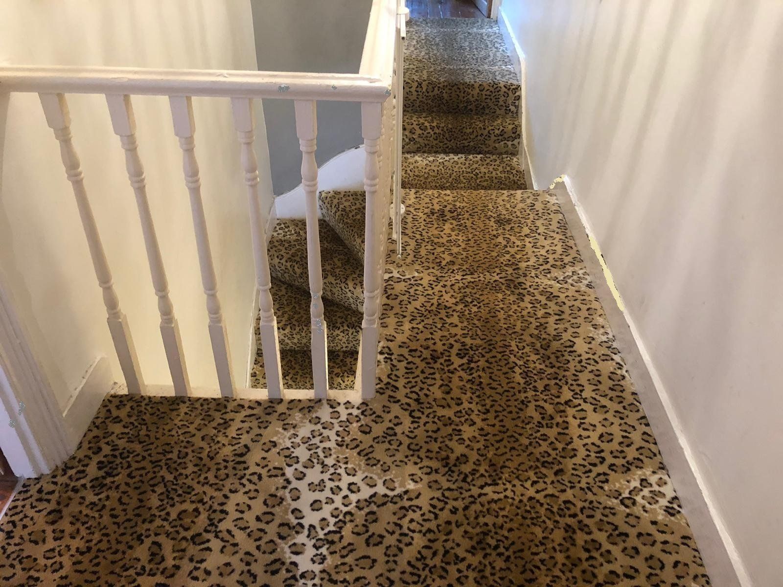 Skins 2 Leopard