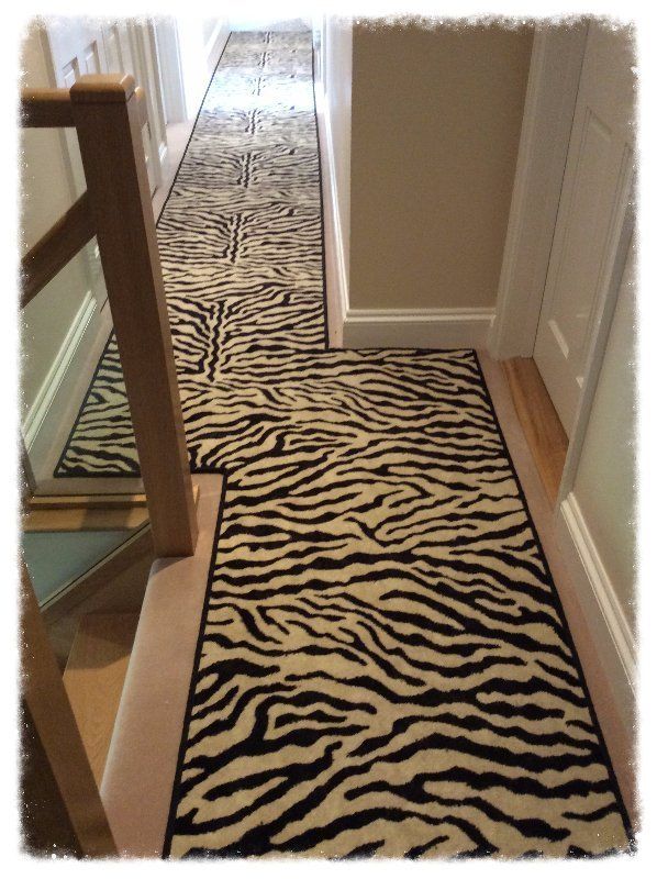 Wild Things Zebra
