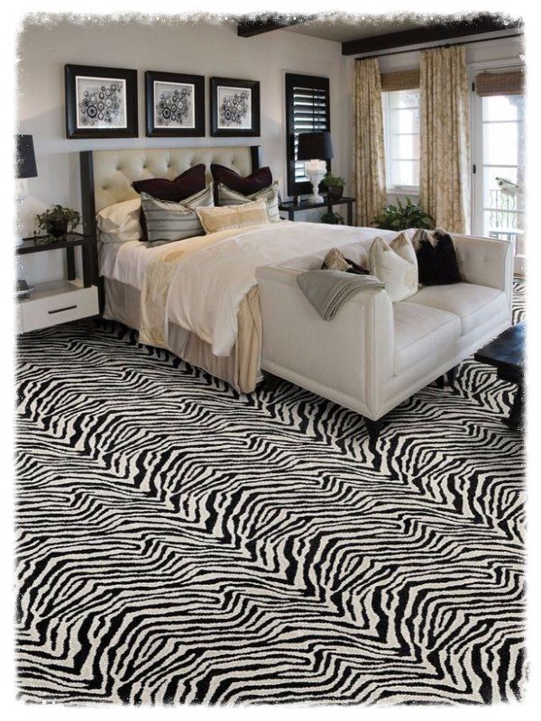 Masland Plain Zebra