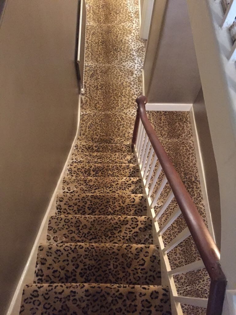 Skins 2 Leopard