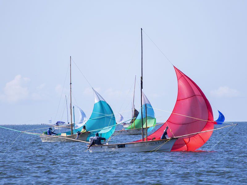 Shrimp Boat