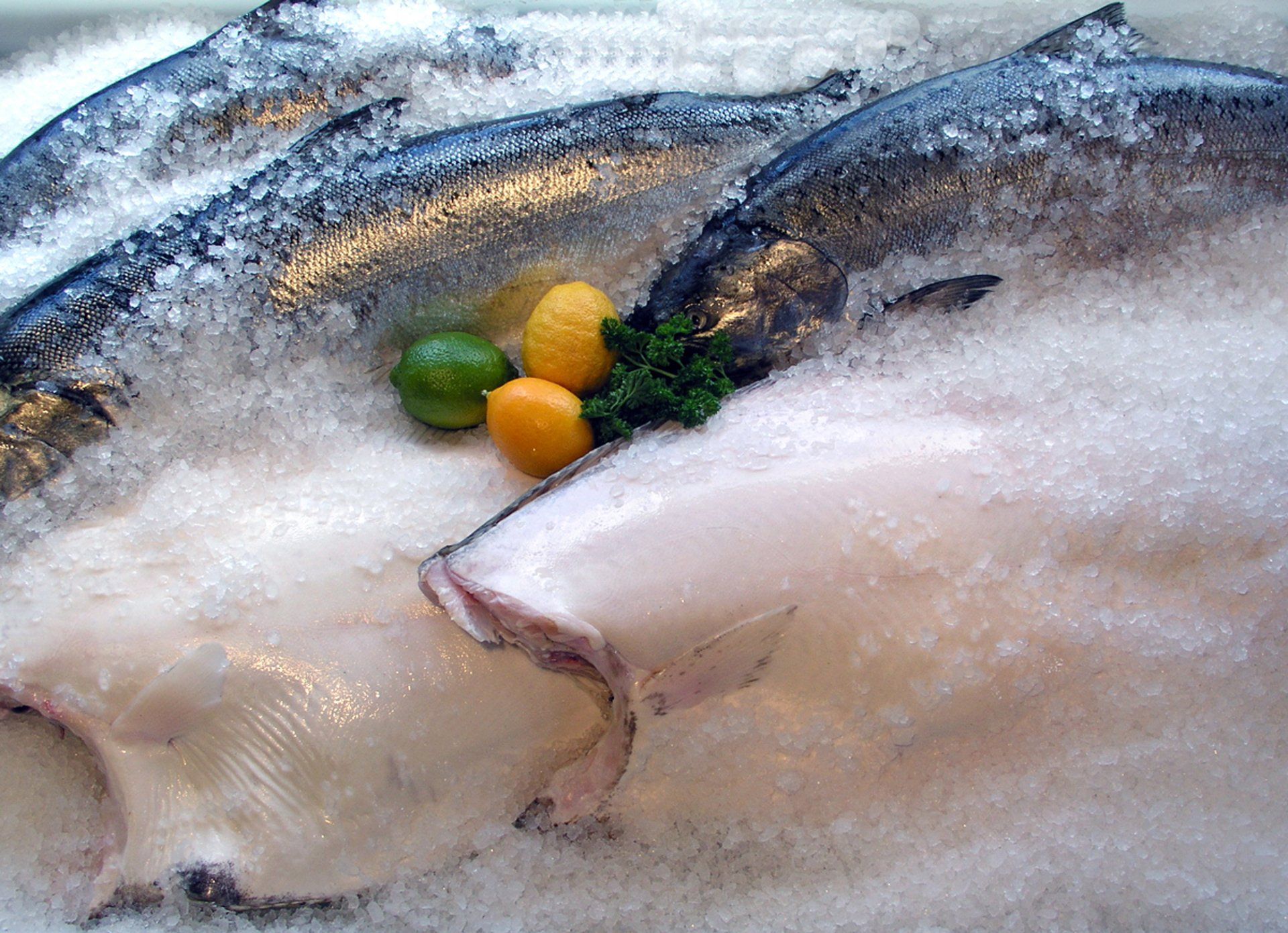 regional seafood