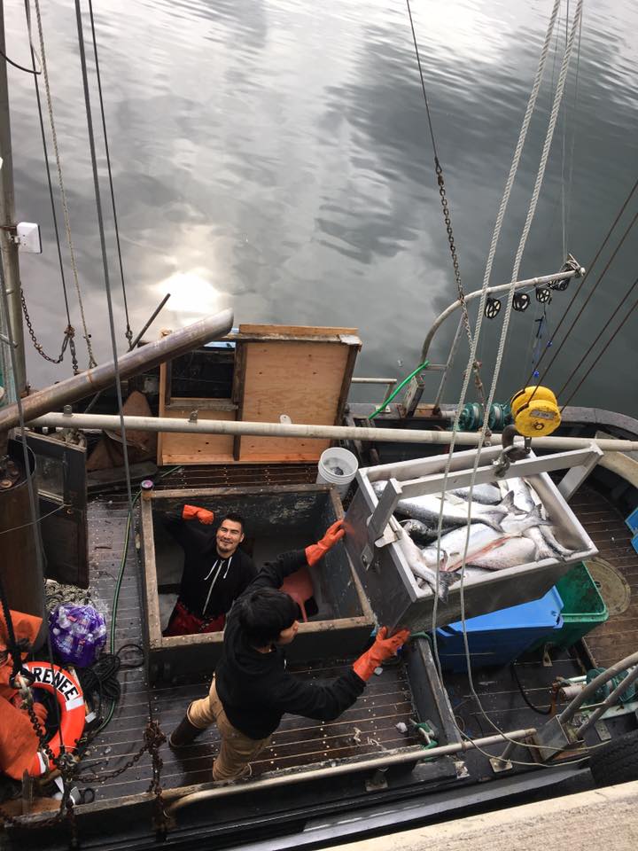 Fresh True Cod