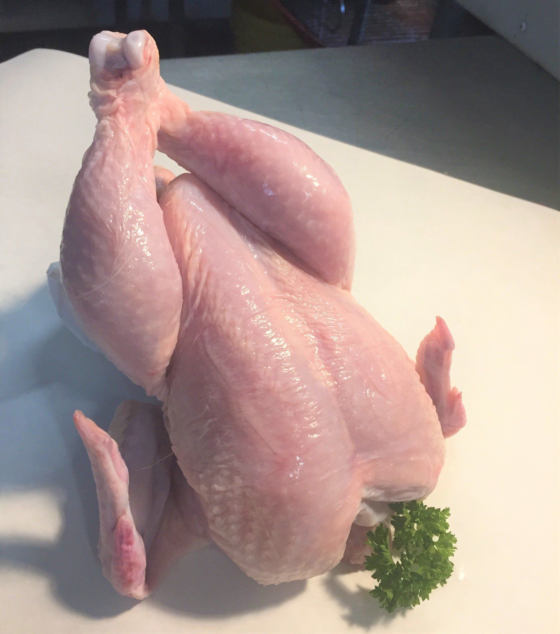 Poultry and Game Birds