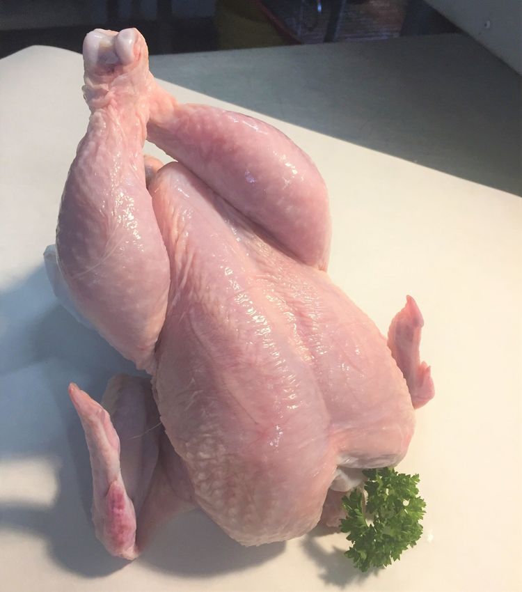 Poultry and Game Birds