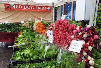Red Dog at the Farmers Market