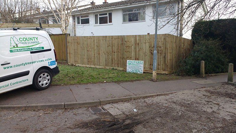 tree and garden maintenance projects