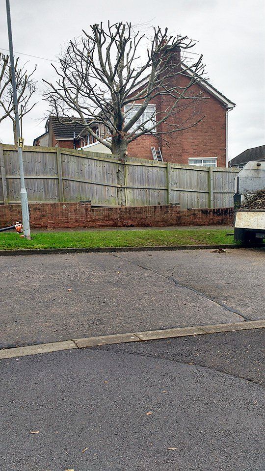 tree and garden maintenance projects