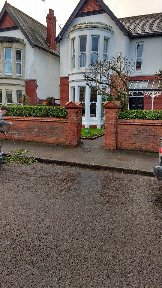 tree and garden maintenance projects