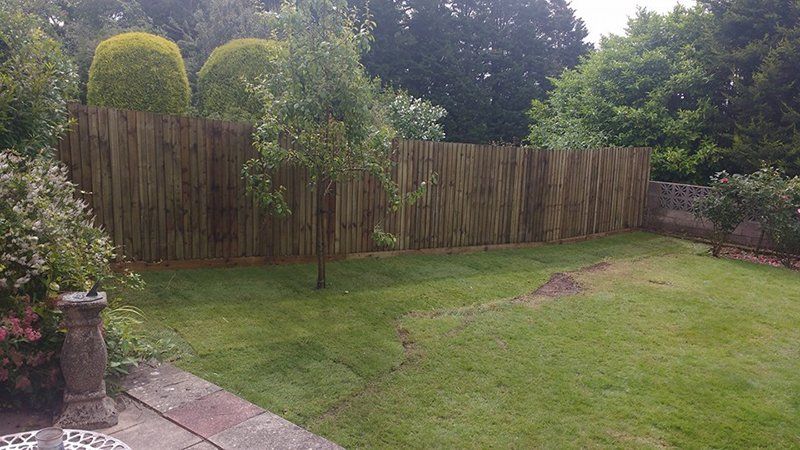 tree and garden maintenance projects