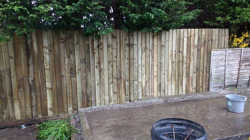 tree and garden maintenance projects