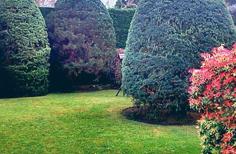 Garden maintenance services