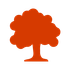 tree care