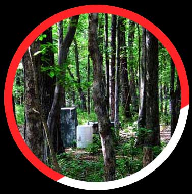 Click here to see more details. A picture of a forest with a red and white circle around it