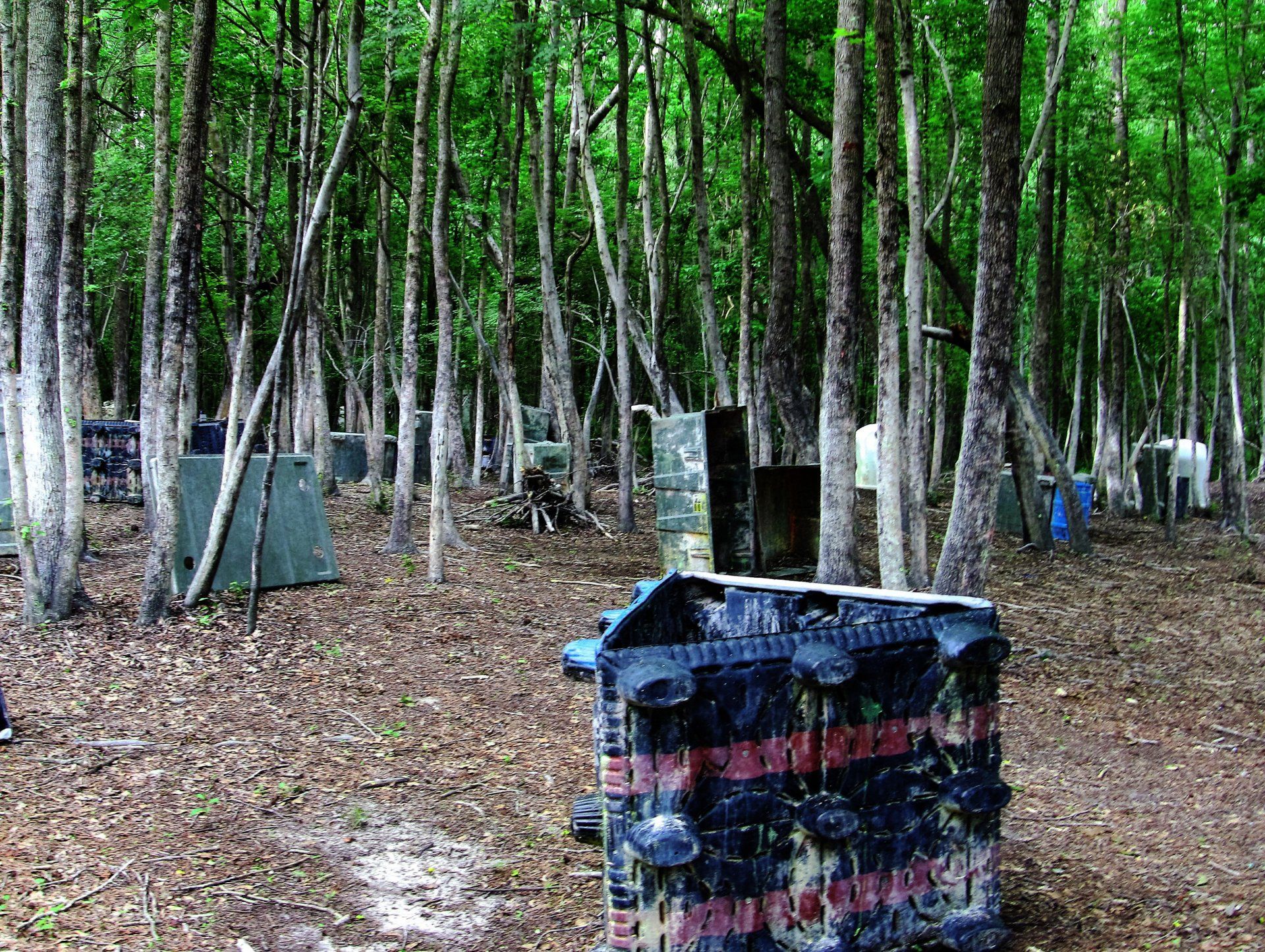 There is a trash can in the middle of the woods.