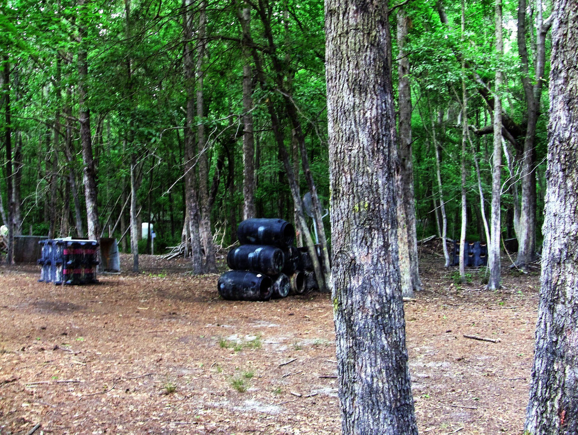 A paintball field with a bunch of barrels in the middle of the woods.