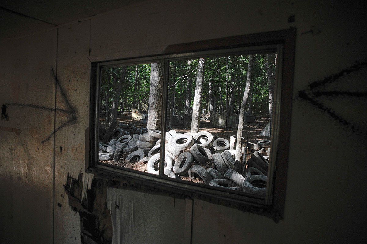 A window in an abandoned building with a view of a forest.