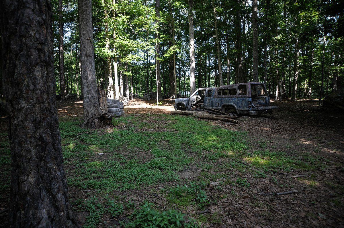A car is sitting in the middle of a forest next to a tree.